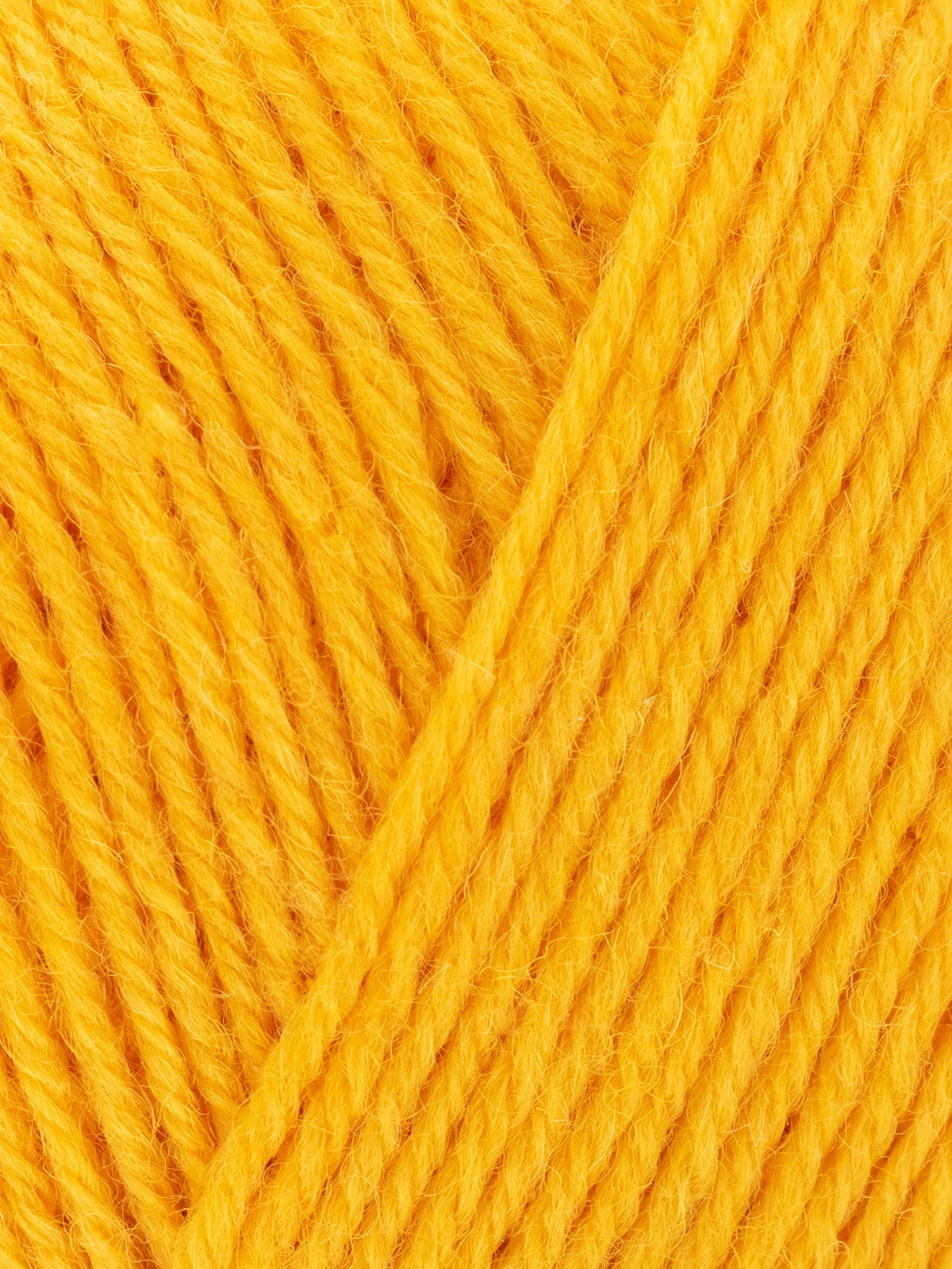 Signature Sock Yarn