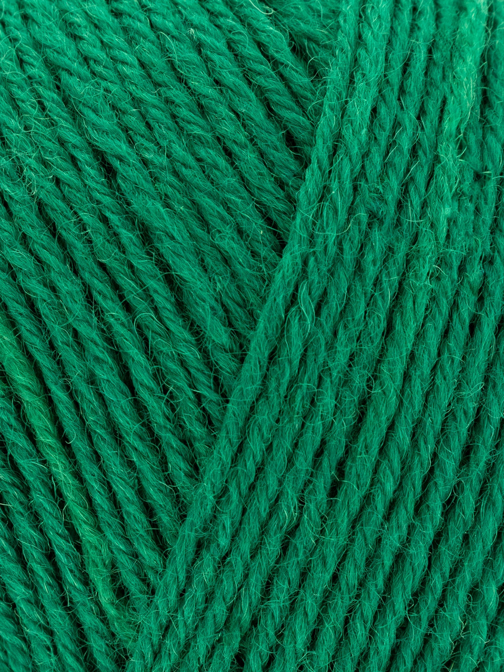 Signature Sock Yarn