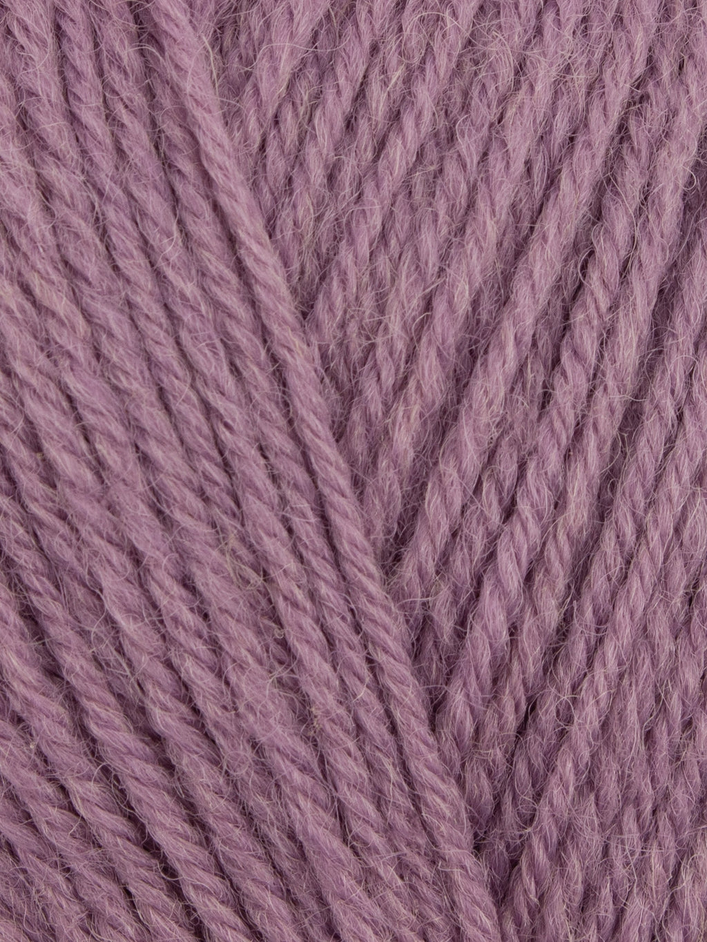 Wool Revival