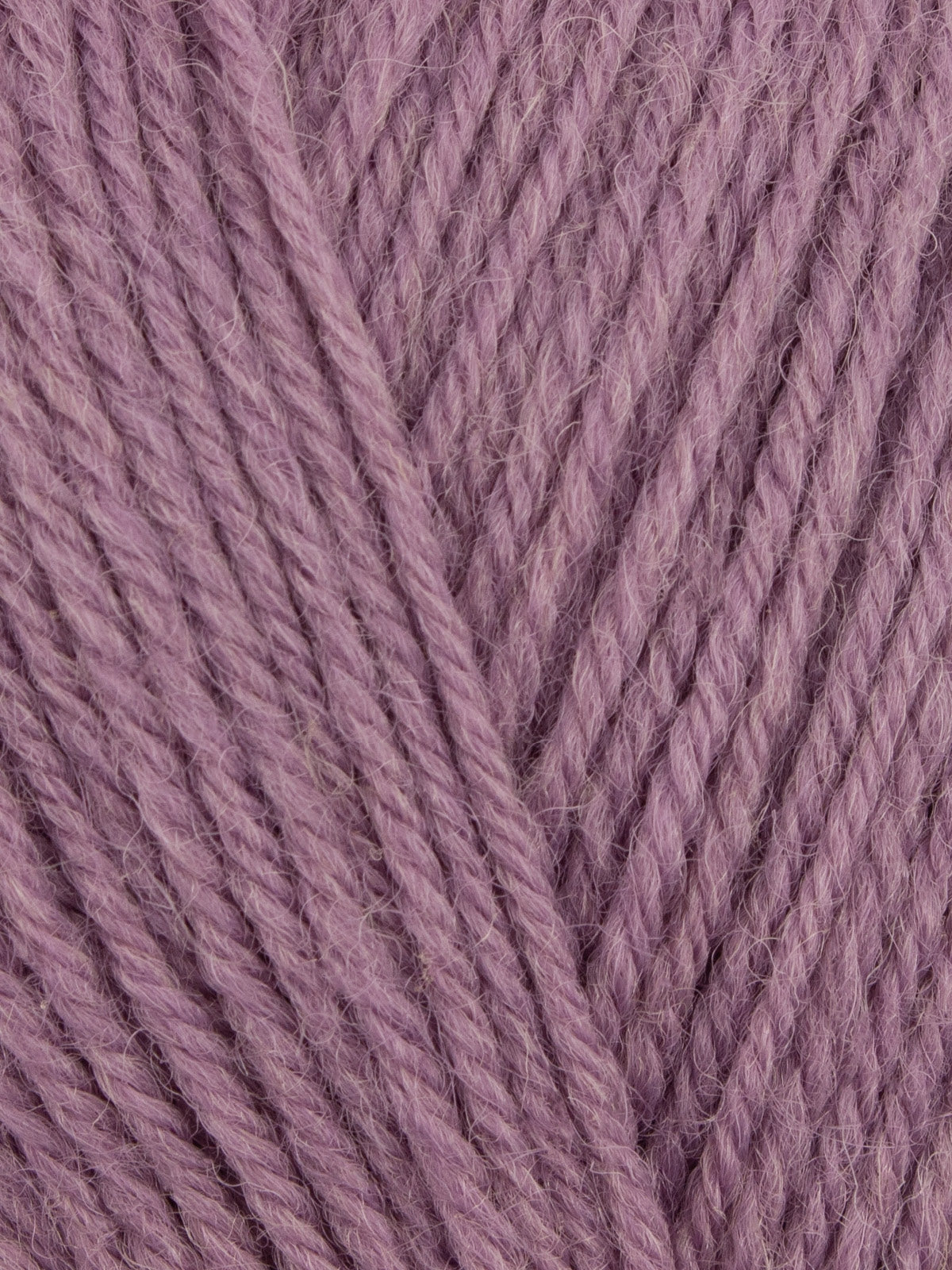 Wool Revival