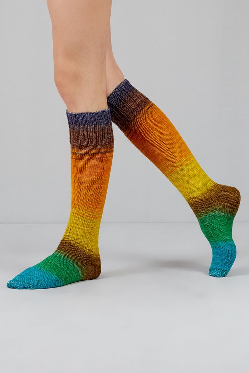 Gusto Wool Echoes Sock Yarn