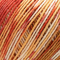 Concept Ilta Sock Yarn
