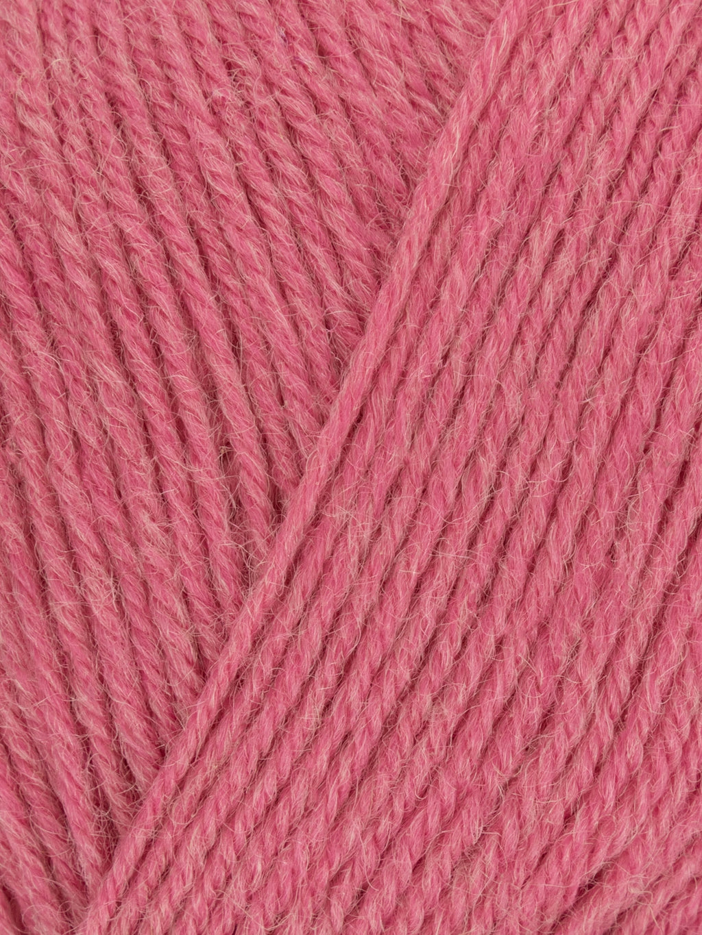 Signature Sock Yarn