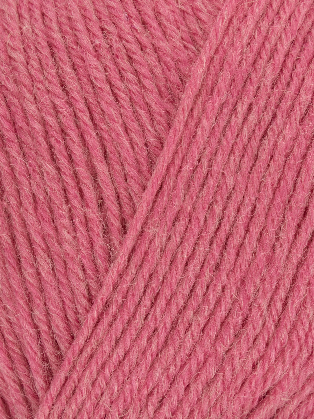 Signature Sock Yarn