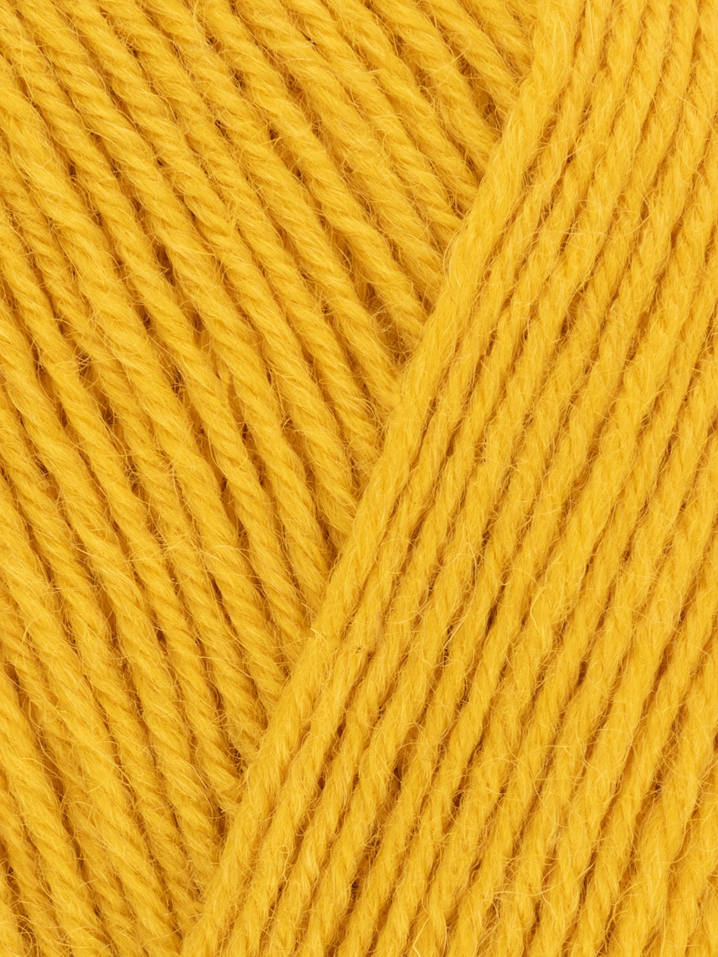 Signature Sock Yarn