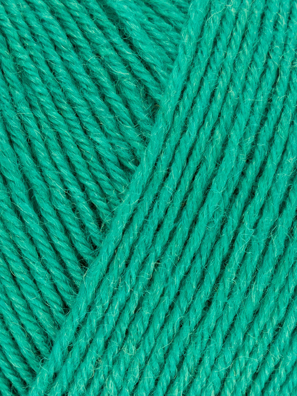 Signature Sock Yarn
