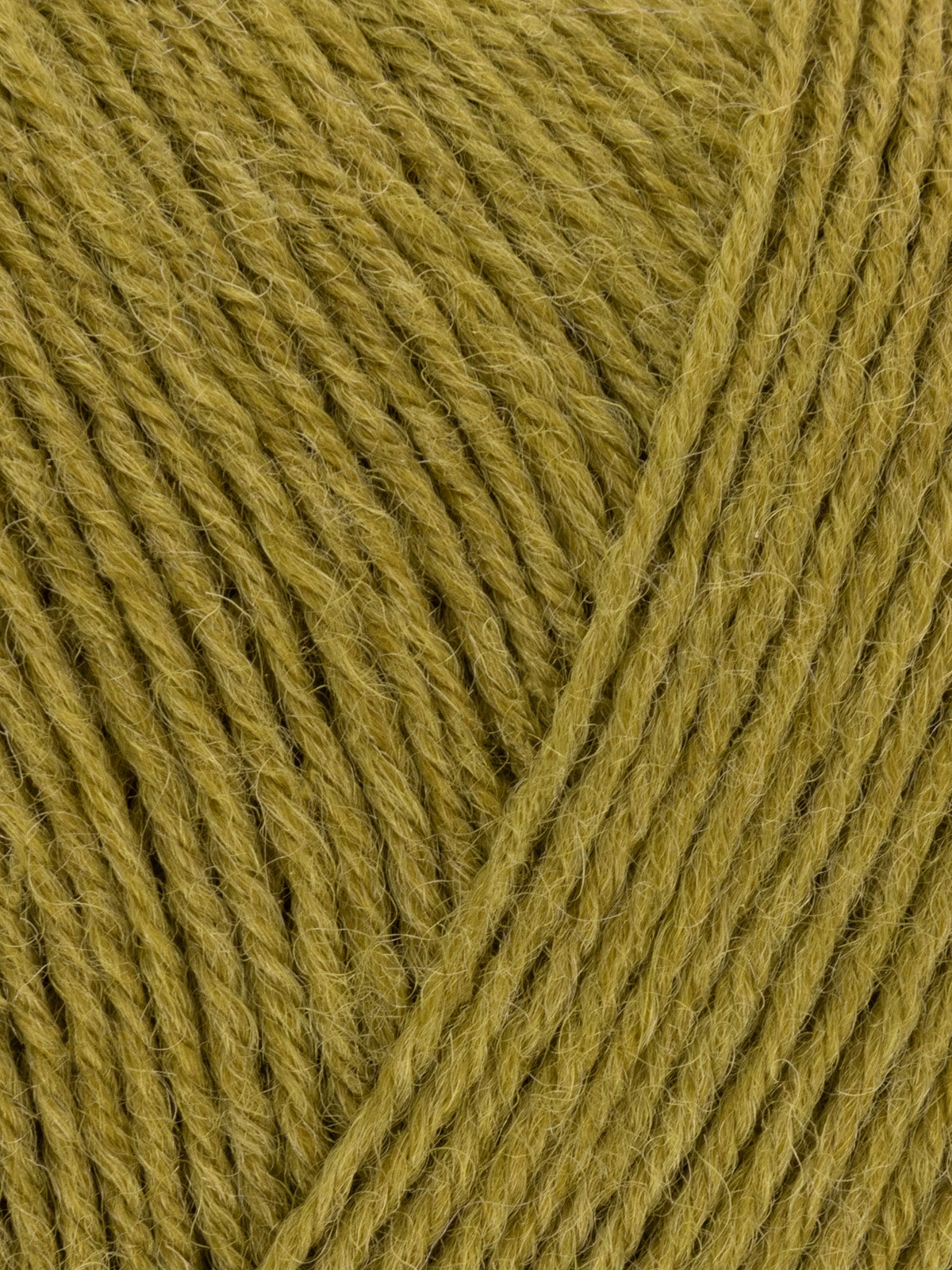 Signature Sock Yarn