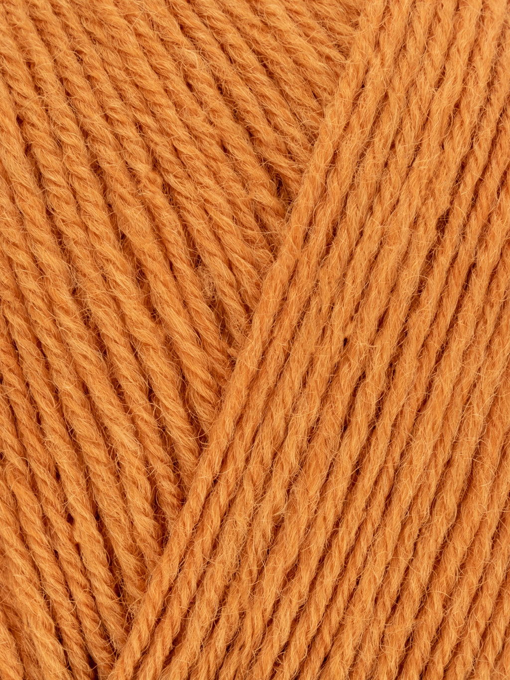Signature Sock Yarn