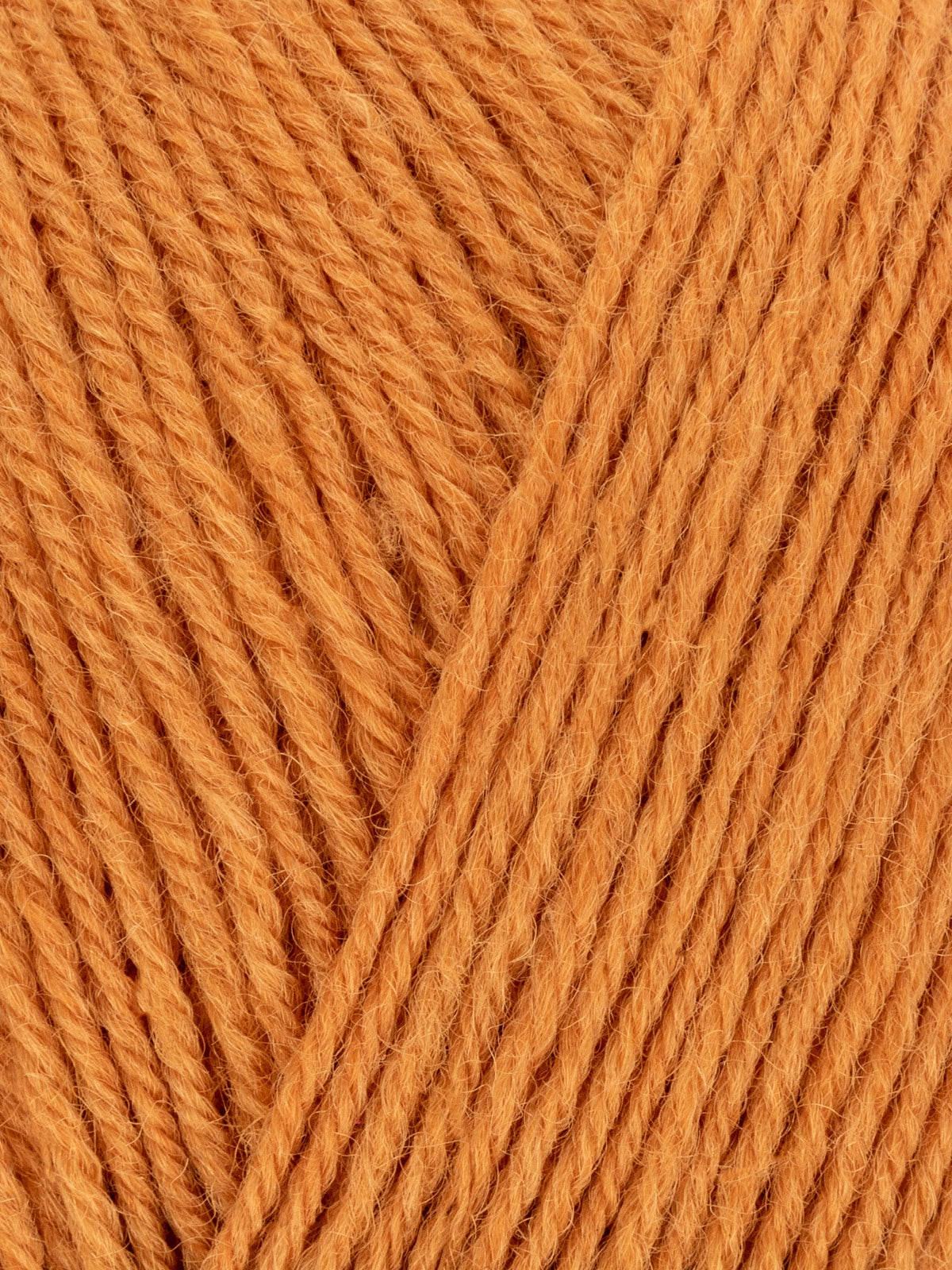 Signature Sock Yarn