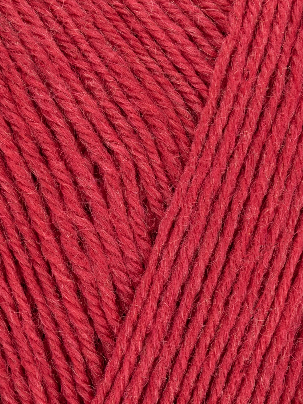 Signature Sock Yarn