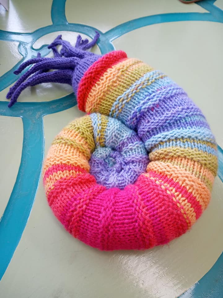 Ammonite Pattern