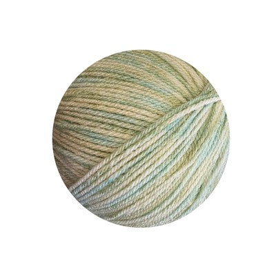 Serene Aran