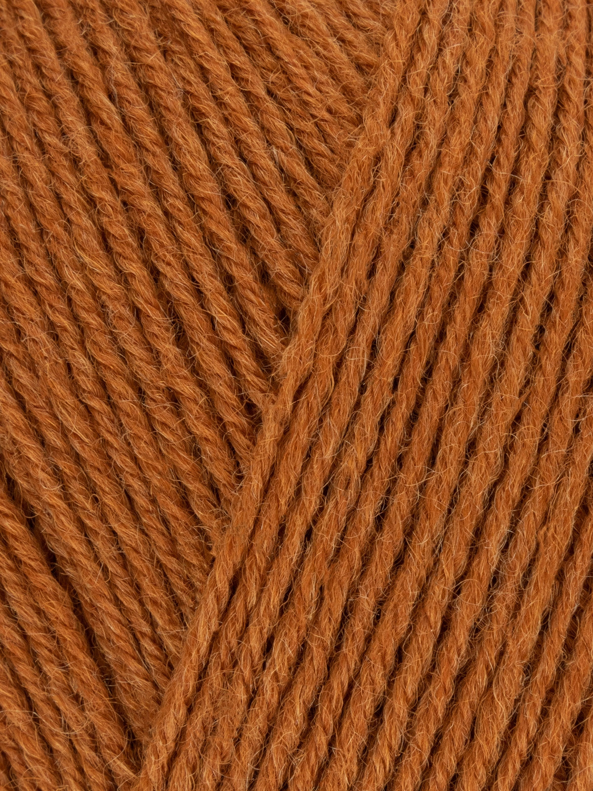 Signature Sock Yarn