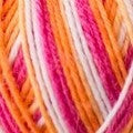 Signature Sock Yarn