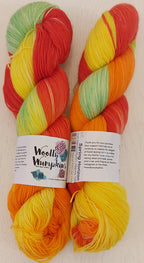 Woolly Wumpkins Indie-dyed 4-ply/sock yarn