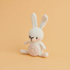 Ricorumi Mini Easy Crochet Set