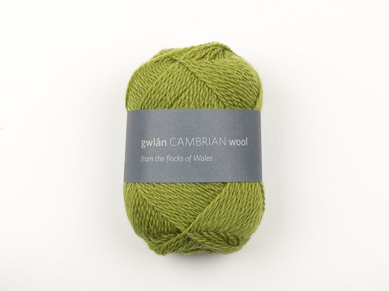 Cambrian Mountains 4-ply Wool