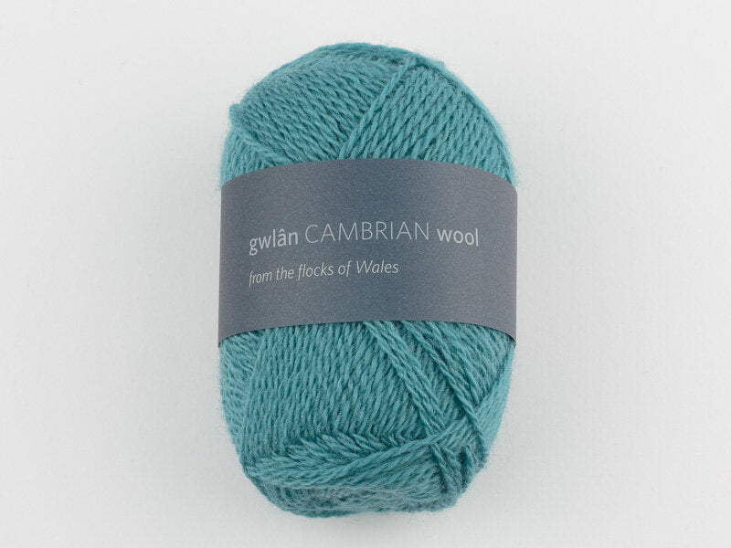 Cambrian Mountains 4-ply Wool
