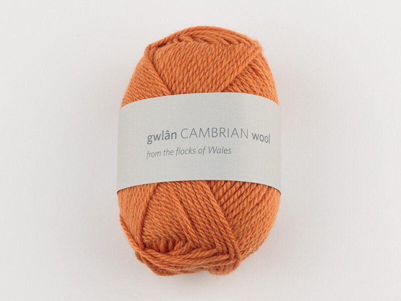 Cambrian Mountains 4-ply Wool