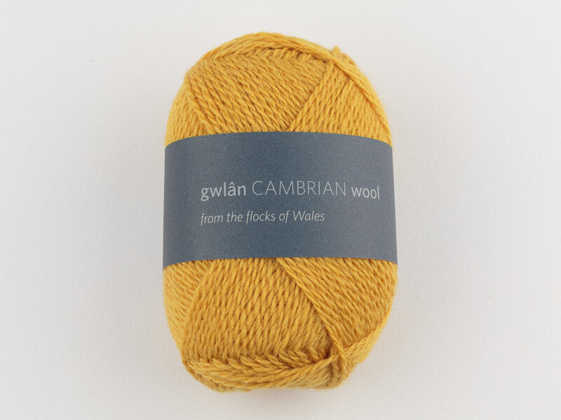 Cambrian Mountains 4-ply Wool