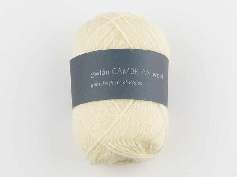 Cambrian Mountains 4-ply Wool