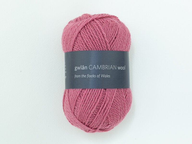 Cambrian Mountains 4-ply Wool