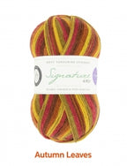 Signature Sock Yarn